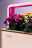 EcoBloom Smart Garden Розумний сад вдома Київ