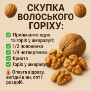 Скупка волського горіха різної фракції доставка из г.Хмельницький