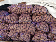 Продам картоплю Ніжин