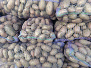 Продам картоплю Ніжин