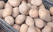 Картопля товарна Київ