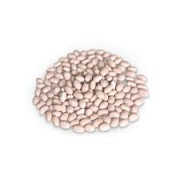 Закупка квасолі на переробку та консервування доставка з м.Дніпро