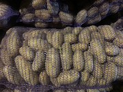 Продам картоплю сорту Гренада Чернігів