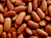 Квасоля сортова оптом від виробника доставка з м.Київ