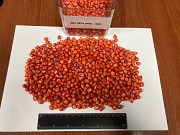 Високоврожайний гібрид кукурудзи ДКС 3972 (ФАО 300) Миргород