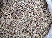 Закуповуємо відходи зернових, некондицію. Самовивіз Кропивницький