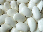 Сортова квасоля оптом від українського постачальника доставка з м.Рівне