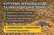 Закупівля некондиційного зерна і відходів зернових доставка з м.Черкаси