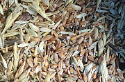Закупаем зерноотходы зерновые, масличные, бобовые Суми