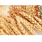 Ячмень, пшеница, горох, рапс дорого Черкаси