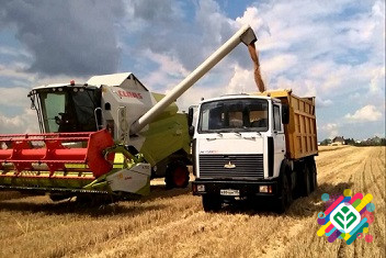 Перевезення зерна по Україні. Послуги зерновозів. Хмельницький - зображення 1