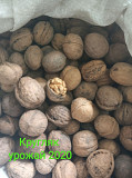 Распродаем ядро грецкого ореха, скорлупу, кругляк Киев