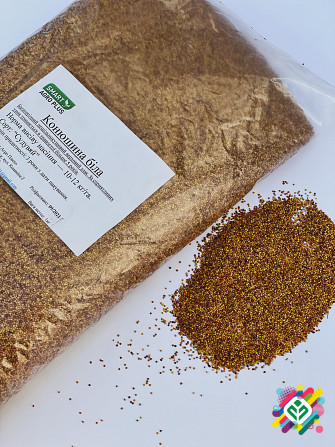 Продам насіння Конюшини Білої Декоративної (повзуча, низькоросла)! Найвищої якості! Київ - зображення 1