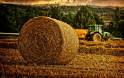 Продам суміш насіння кормових трав для пасовищ і сінокосів Киев