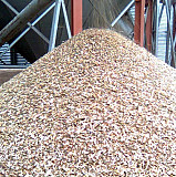 Куплю зерновые отходы, масличных отходы, бобовые отходы Кропивницький