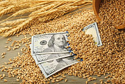 Купуемо пшеницю без черг та розрахунок відразу Ізмаїл
