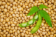 Купуемо сою без ГМО без черг та швидкий розрахунок Ізмаїл