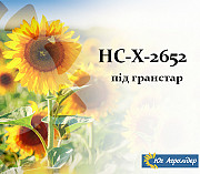 Насіння соняшника НС-Х 2652 Харків