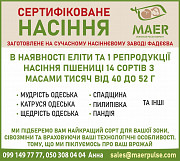 Сертифіковане насіння пшениці Одесса