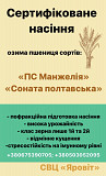 Насіння озимої пшениці, еліта, від автора Полтава