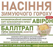 Продаж насіння озимого гороху Баллтрап, Авірон Житомир