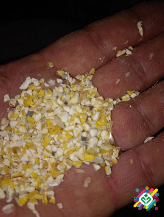 Зернові відходи та боковий продукт кукурудзи. Суми - зображення 1