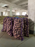 Продам картоплю на посадку Житомир