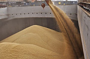 Перевалка зерна в Одессе Одеса
