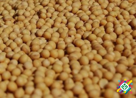 Куплю сою. Куплю половинки сої. Полтава - изображение 1