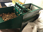 Продається лінія з переробки волоського горіха. Київ