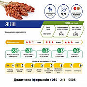 Високоврожайні гібриди сорго від оригінатора - Адванта Сідз. Київ