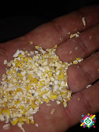 Продам боковий продукт кукурудзи та зернові відходи. Суми - изображение 1